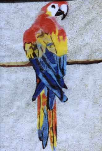 perroquet jacquot, aras